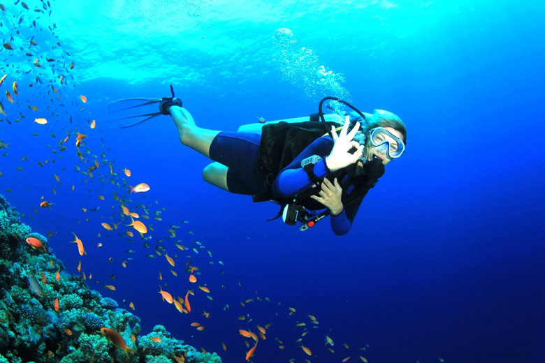 Best Time to Visit Andaman for Scuba Diving