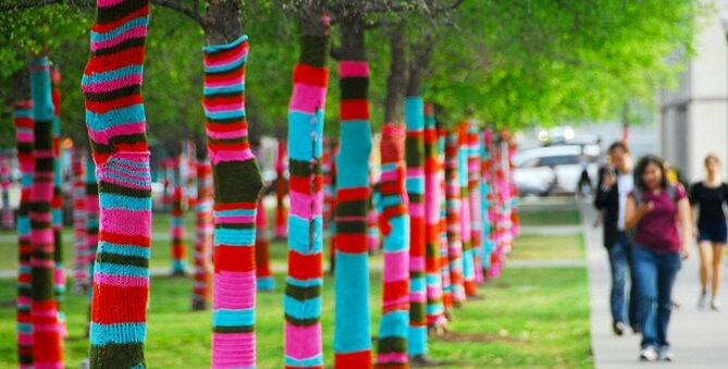 Yarn bombing tree trunks in a park