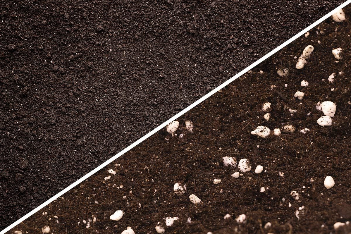 Potting Soil Vs. Garden Soil 