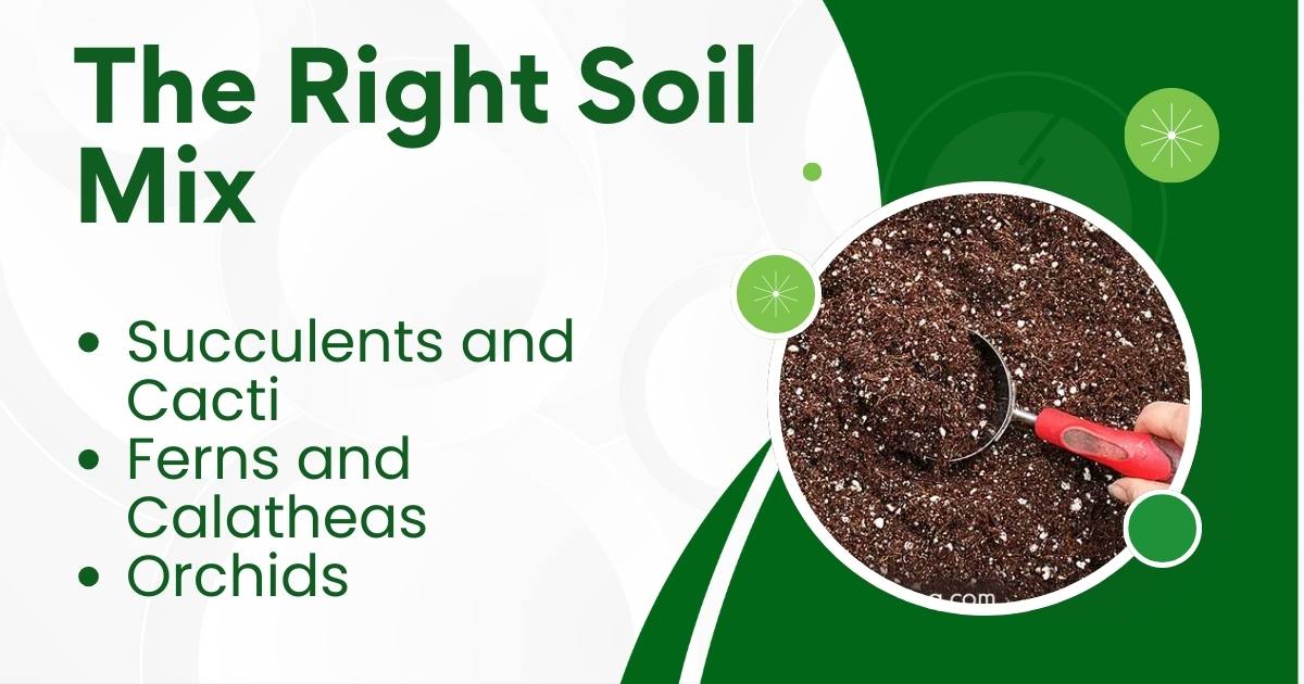 The Right Soil Mix