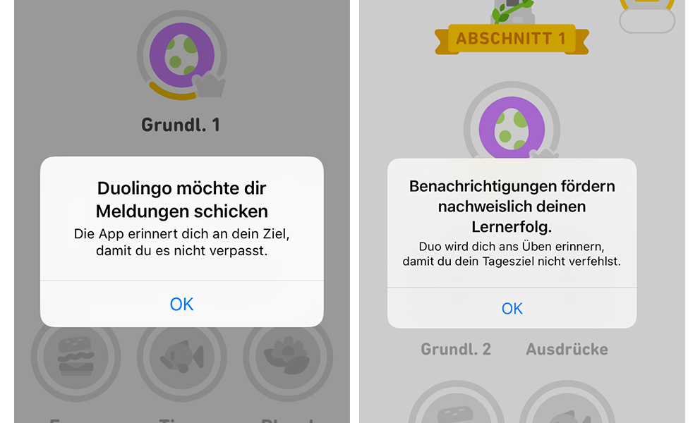 Duolingo German UI localization