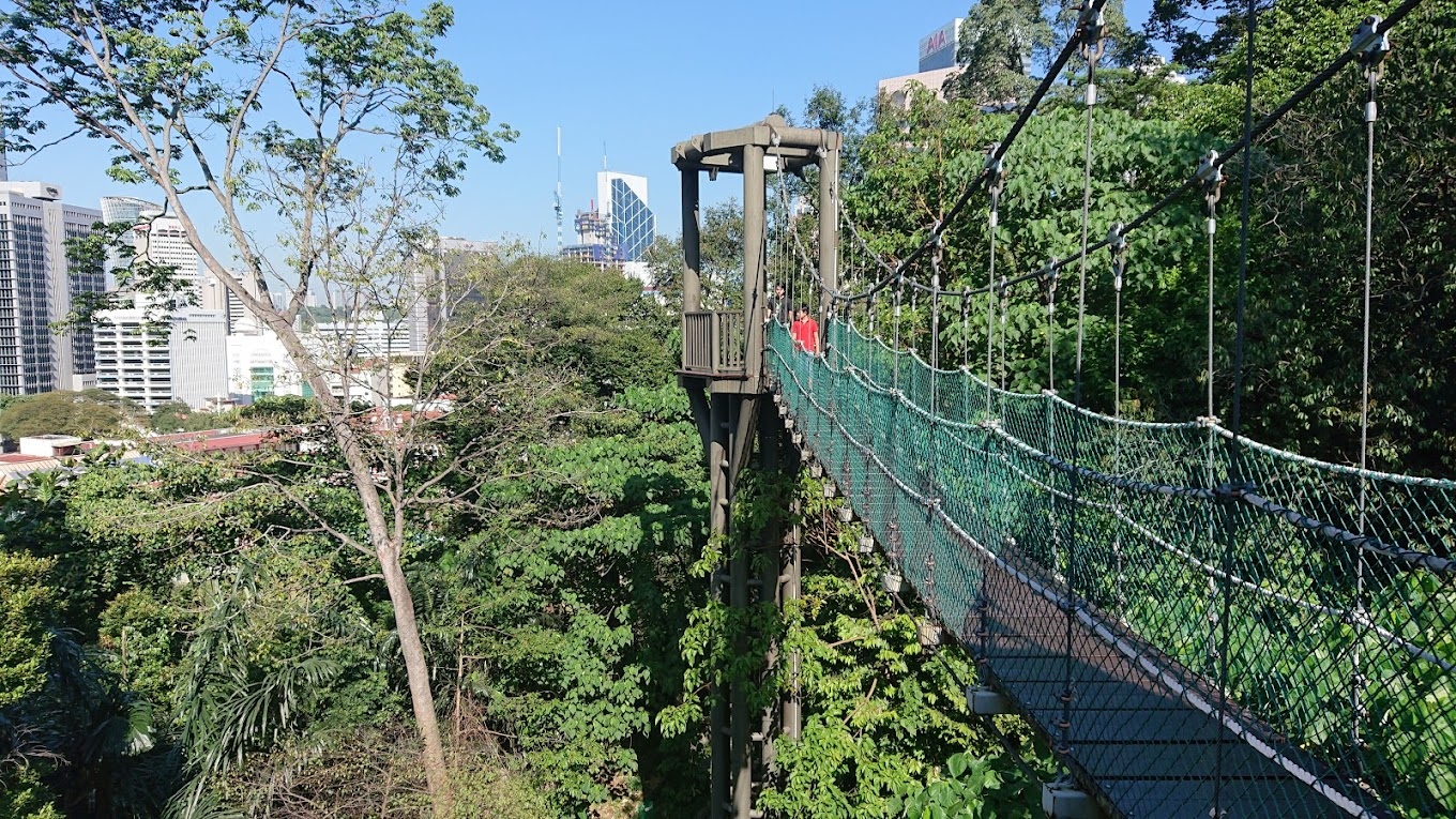 10 Tempat Hiking di KL yang Popular - Beginner Friendly!
