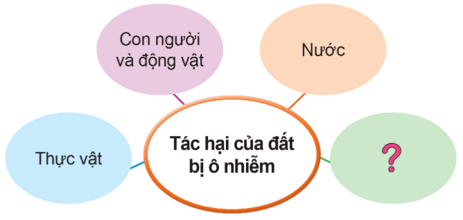 BÀI 1. ĐẤT VÀ BẢO VỆ MÔI TRƯỜNG ĐẤT