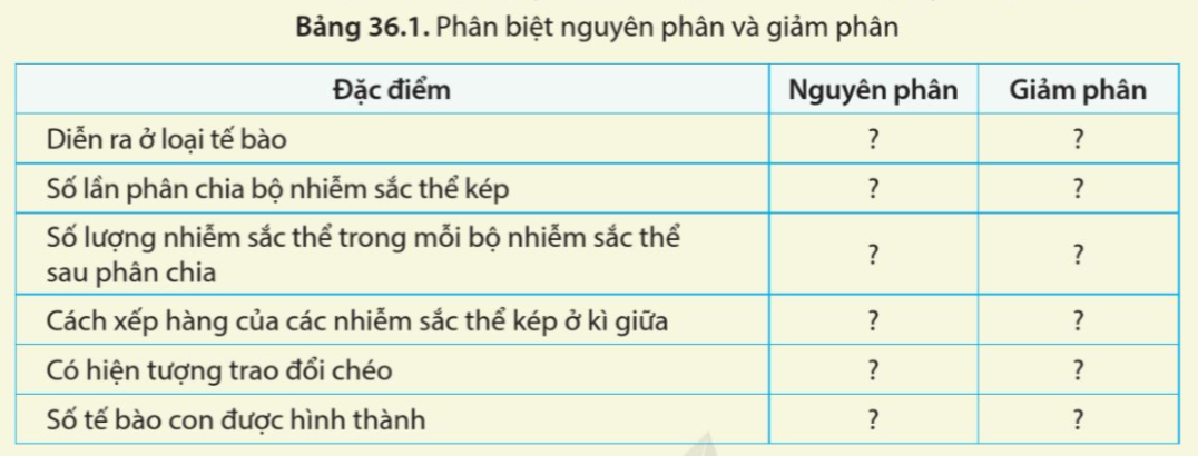 BÀI 36: NGUYÊN PHÂN VÀ GIẢM PHÂN