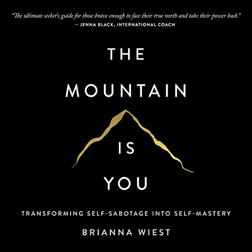 the mountain is you book review