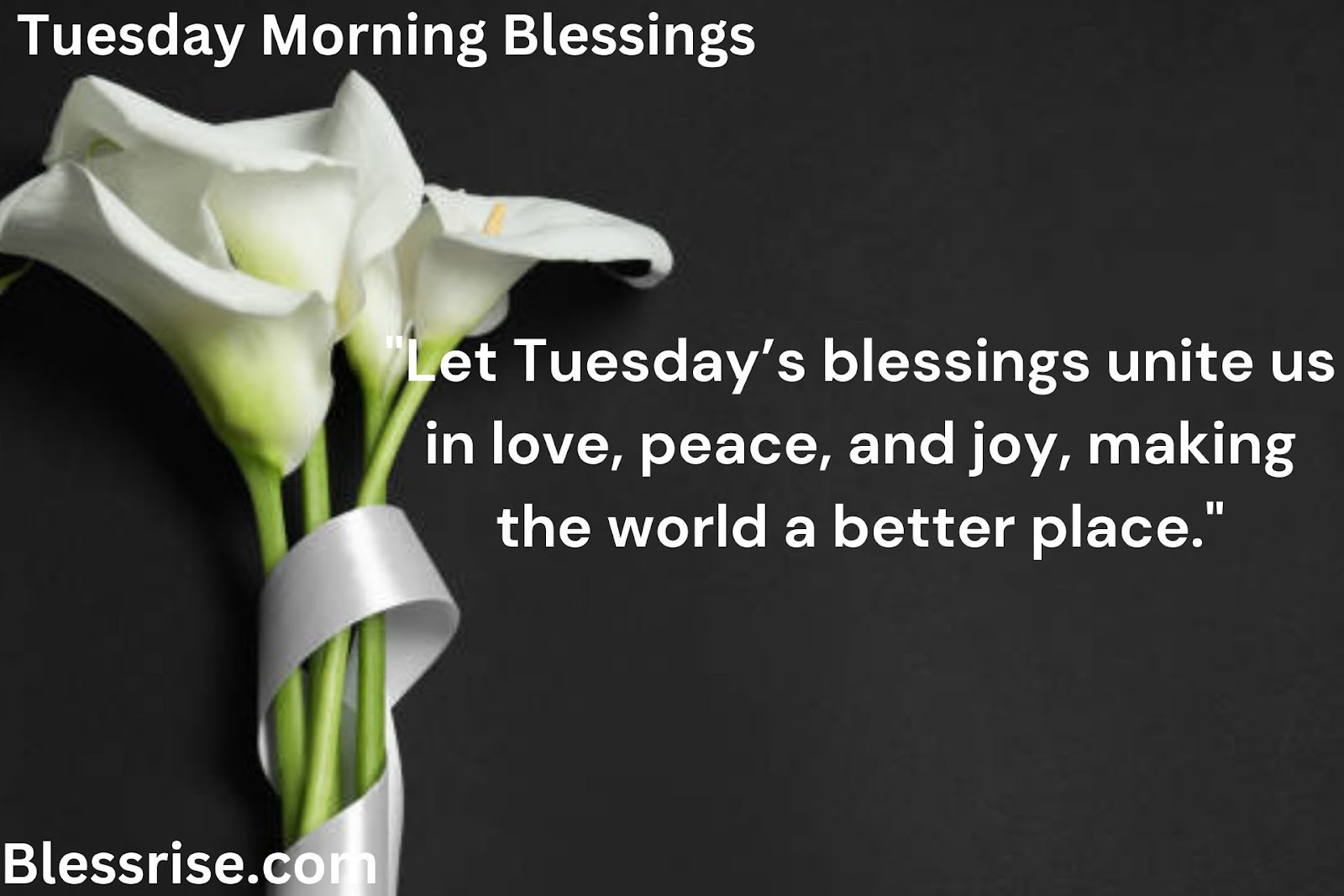 God Bless Your Happy Tuesday
