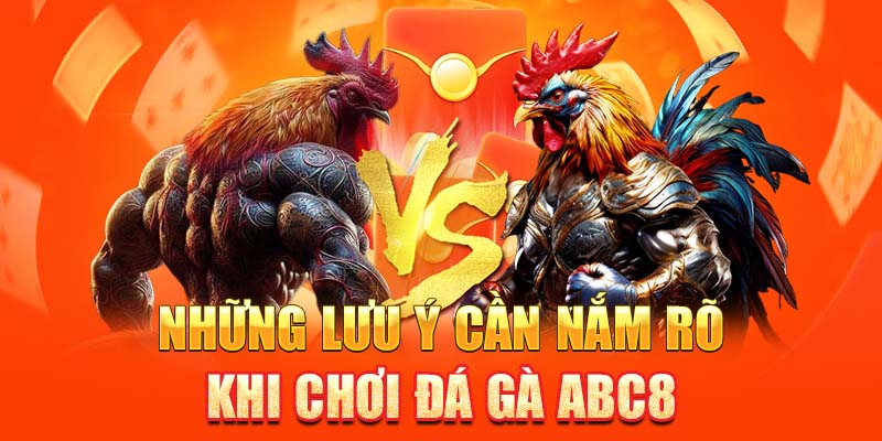 Những lưu ý cần nắm rõ khi chơi đá gà ABC8