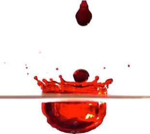 Artificial Additives and Hyperactivity
