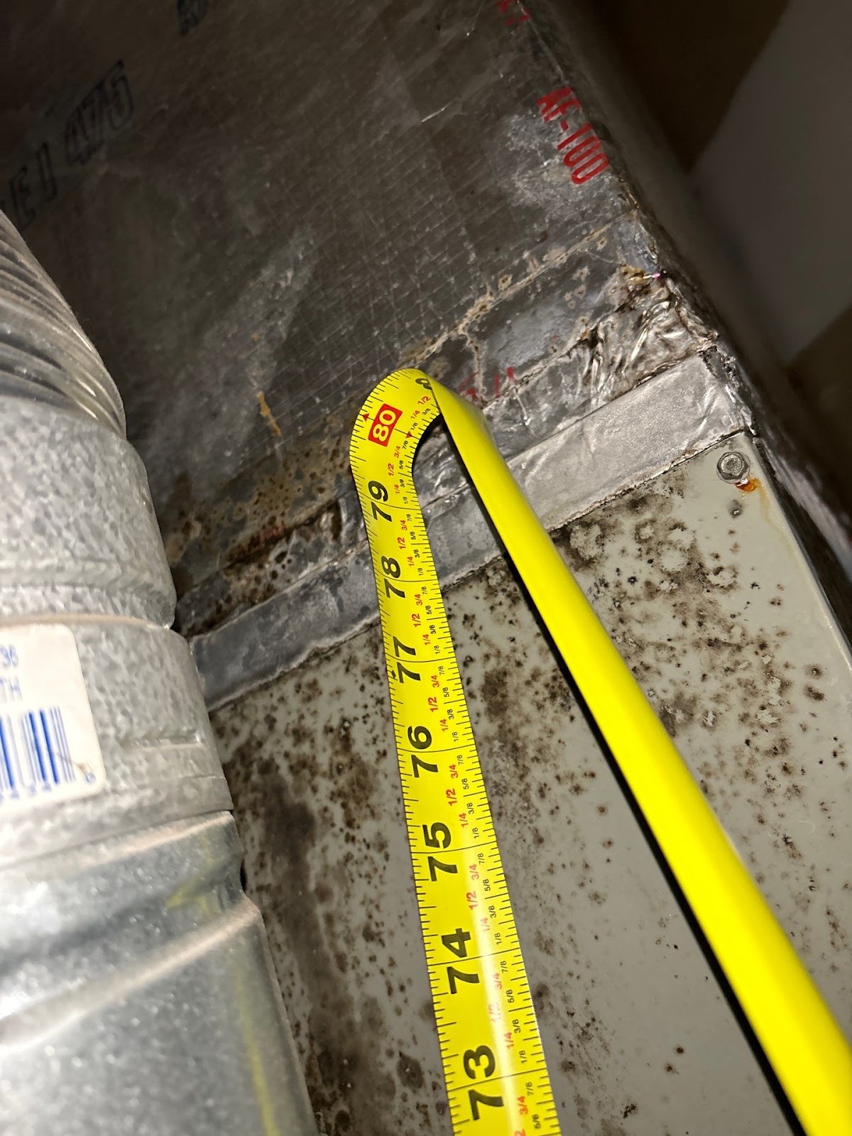 Microbial growth on the outside of supply plenums and ductwork.