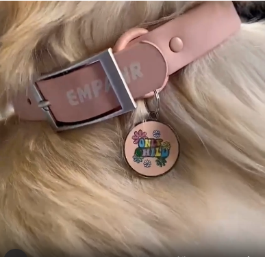 A pink dog collar with the word "Empawr" printed on it and a circular tag that says "Only Child" with flowers around it.