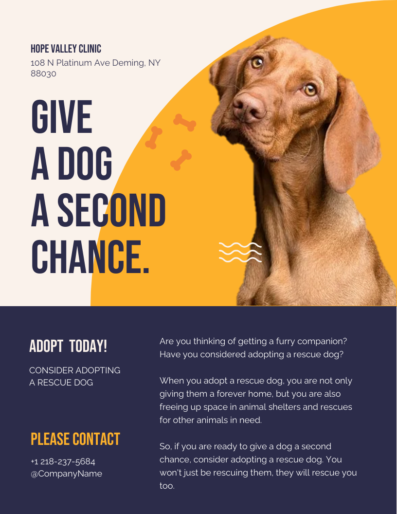 Dark Blue and Yellow Simple Adopt a Dog Poster