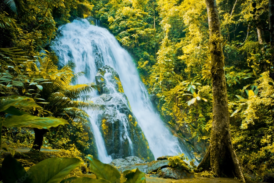 Highlights at Punyaban Waterfall