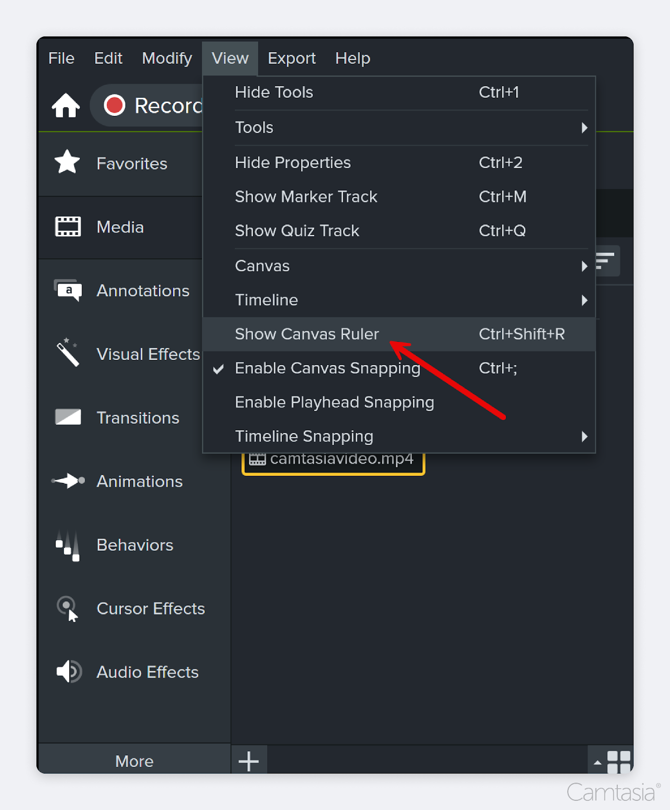 The "Show Canvas Ruler" feature in Camtasia.