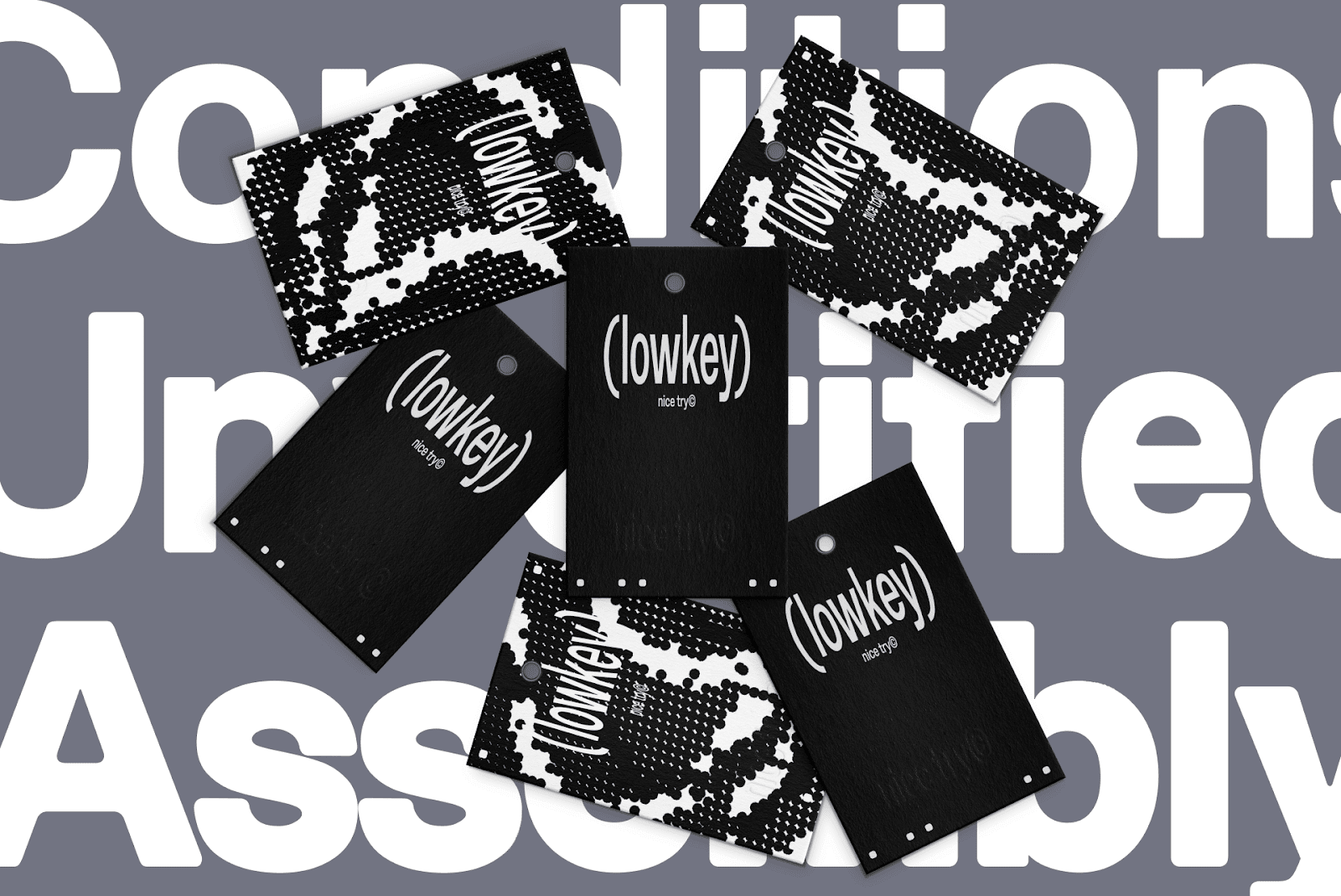 Image from the Blurring Lines: Nice Try's Branding & Variable Type article on Abduzeedo