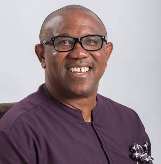 Such divisive comments have no place in our society - Peter Obi condemns statement by woman who threatened to poison Yorubas and Edo natives in Canada