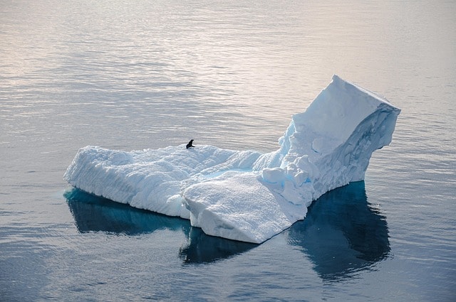 Like an iceberg, many regulatory risks hide just under the surface, challenging even the seemingly best regulatory compliance policy.