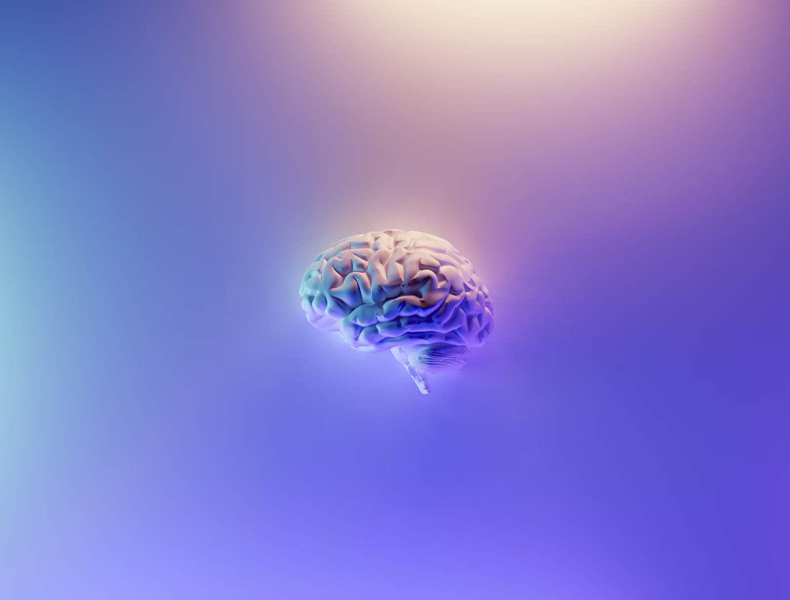 rendered image of a brain bathed in blue light