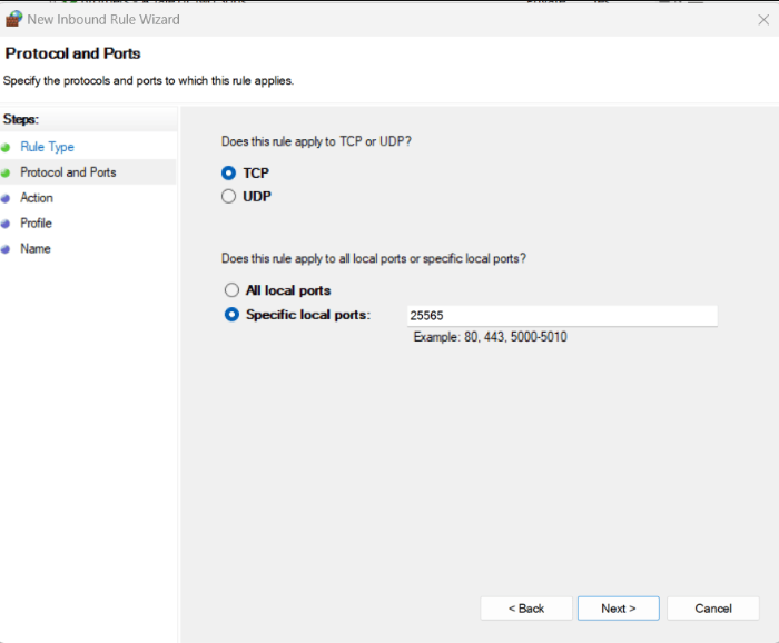 TCP option in Window Defender Firewall setting