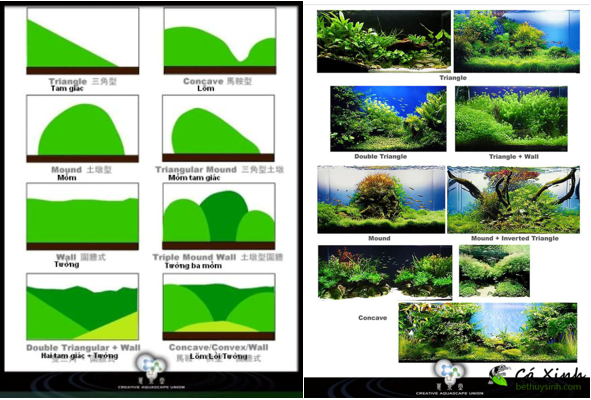 Hình1. Các mẫu thiết kế bể thủy sinh