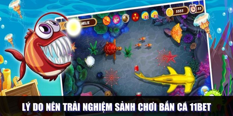 Điểm đặc biệt khi trải nghiệm săn sinh vật tại 11bet