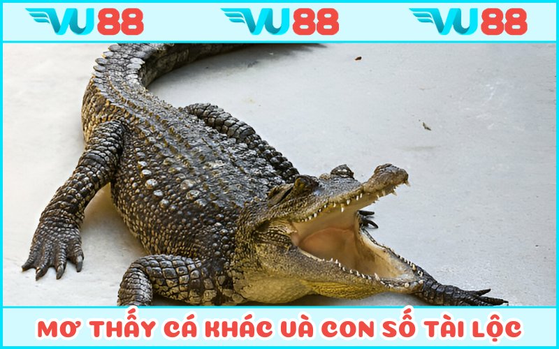 Tổng hợp mơ thấy cá và con số đổi đời