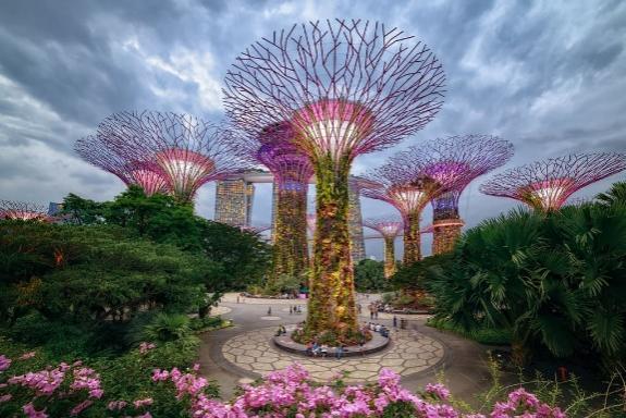 Kinh nghiệm đi chơi ở Gardens by the Bay Singapore