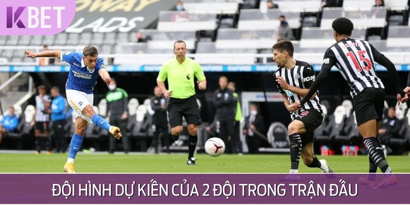 đội hình dự kiến 2 đội