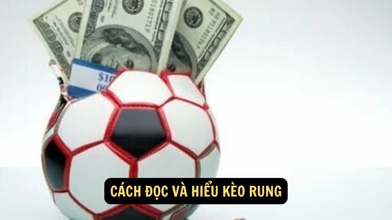 Cách đọc và hiểu kèo rung