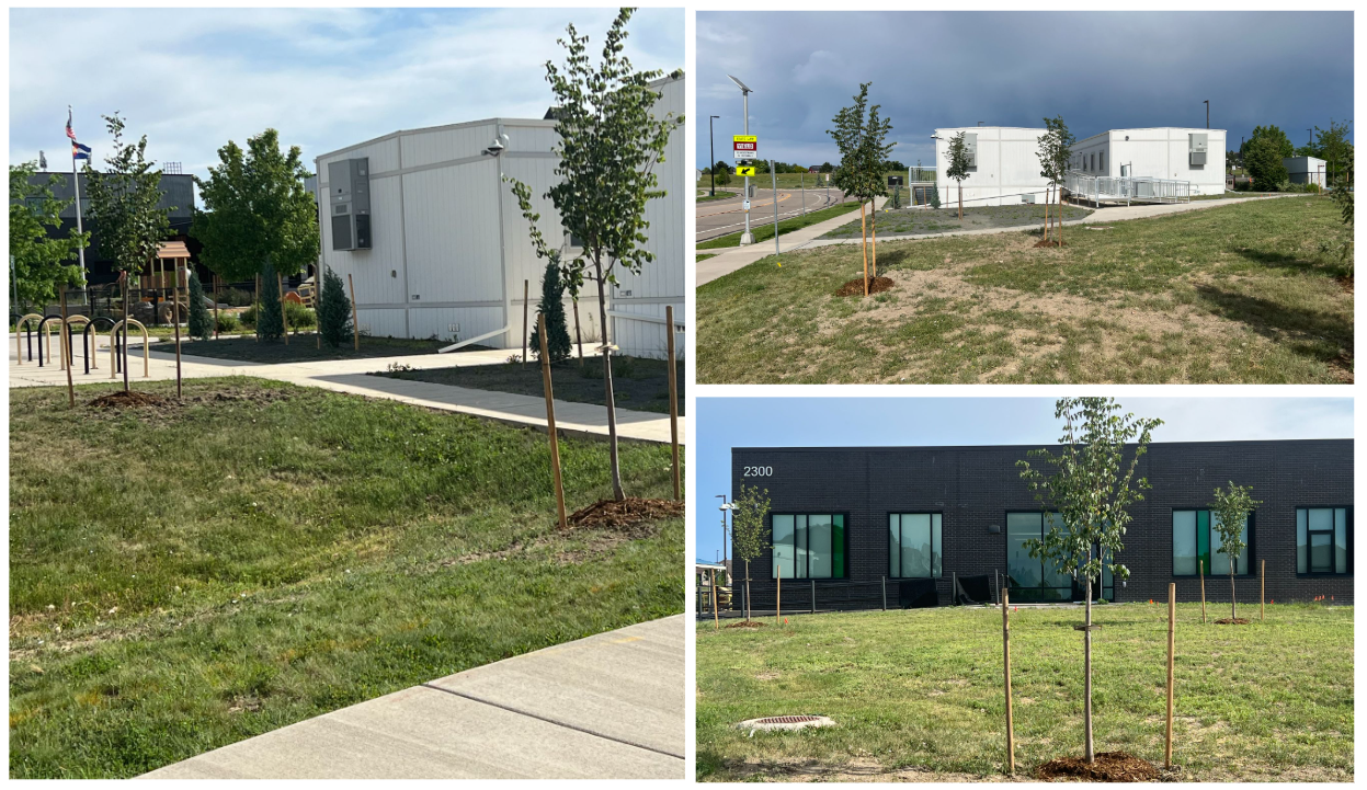 Trees and landscaping around 2 modular classrooms