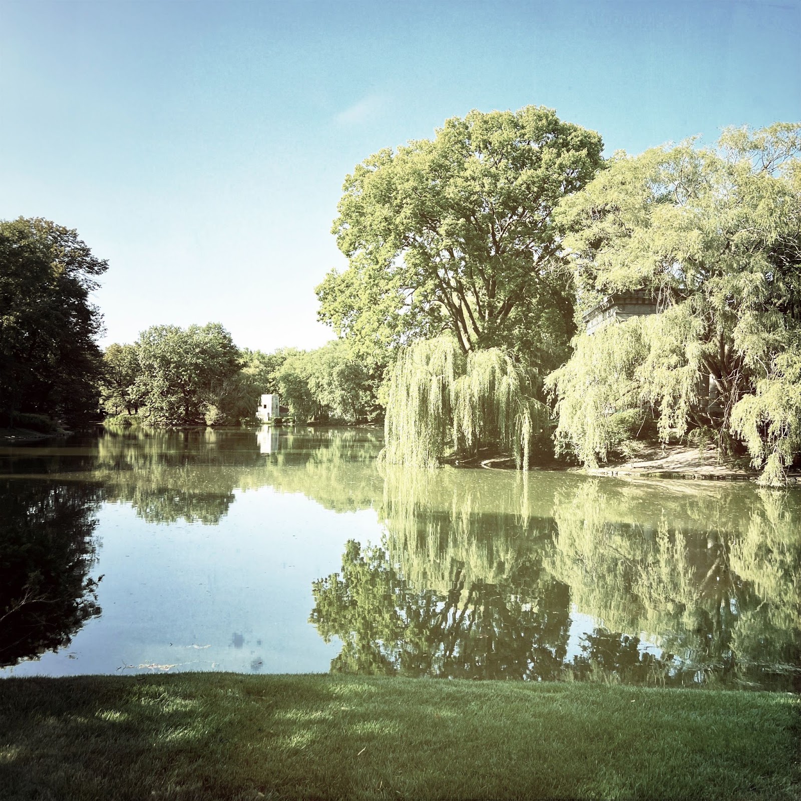 Graceland cemetery big tree over pond 