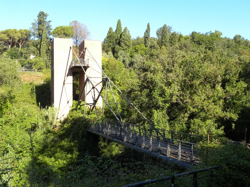 Immagine che contiene aria aperta, albero, pianta, cielo

Descrizione generata automaticamente