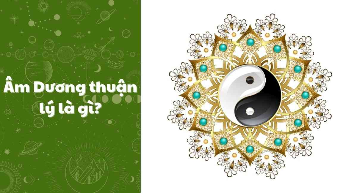 Giải mã âm dương thuận lý: Nguyên tắc của sự cân bằng trong tự nhiên-2