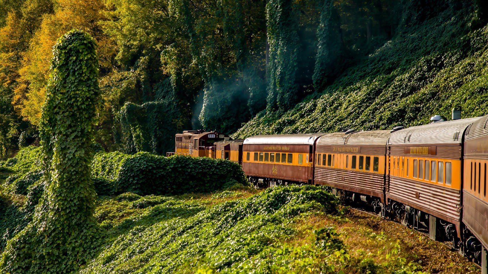 Great Smoky Mountains Railroad