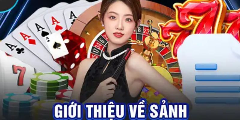 Về Chúng Tôi