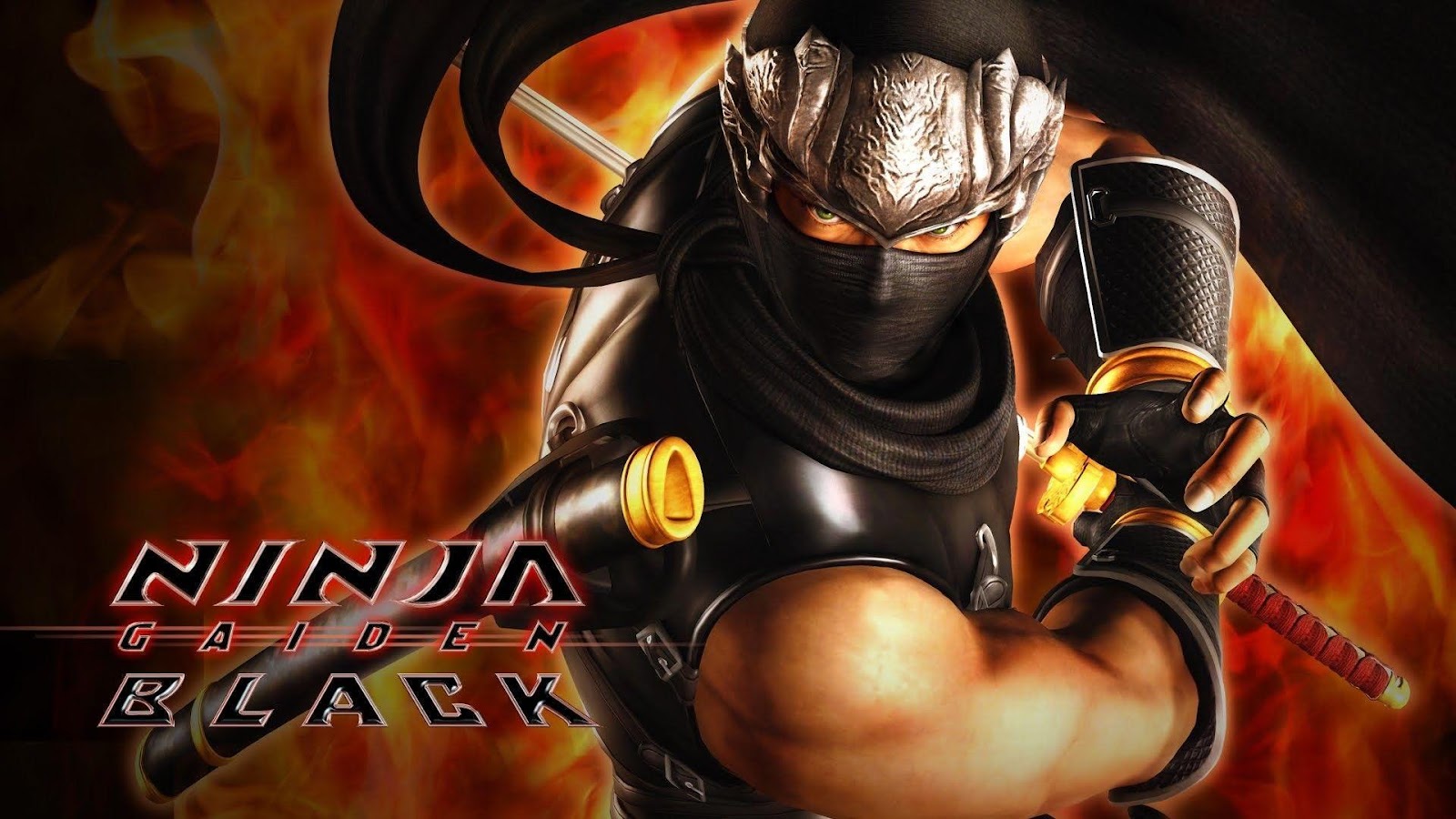 The Official Picture of Ninja Gaiden Black with its character