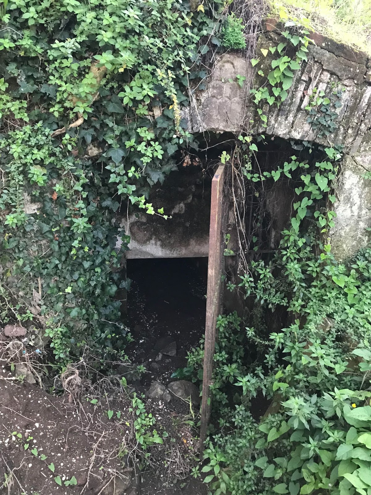 L'Emissario del Lago di Nemi