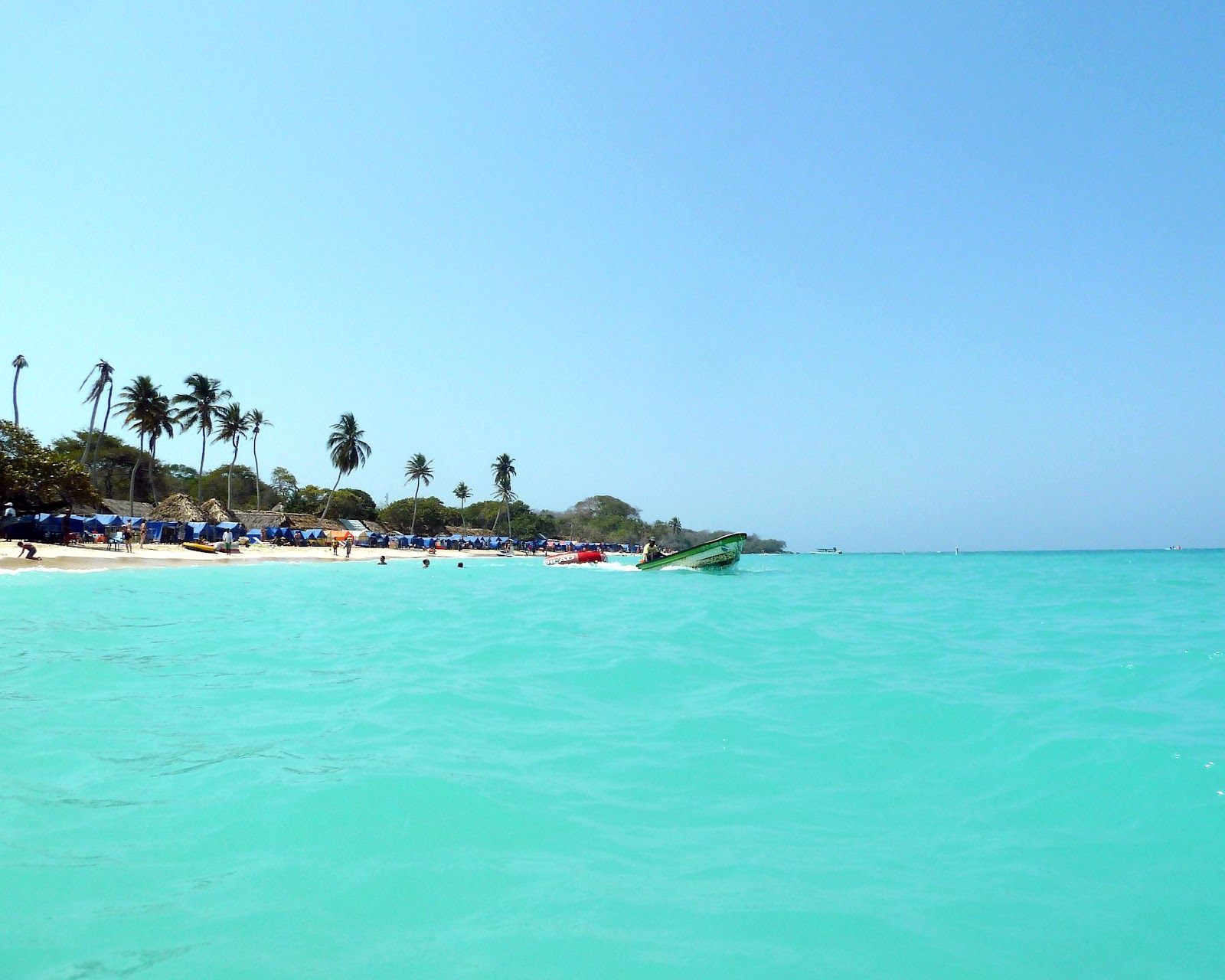 A beach and trees faraway.