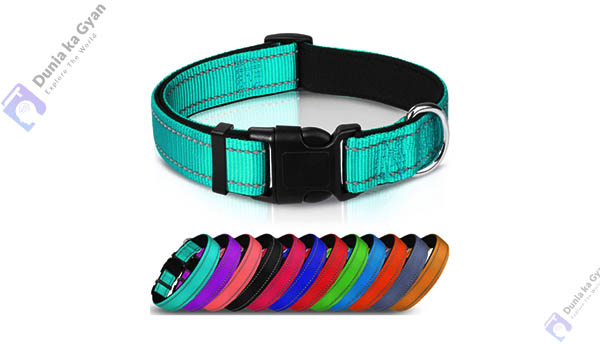 Joytale Reflective Dog Collar