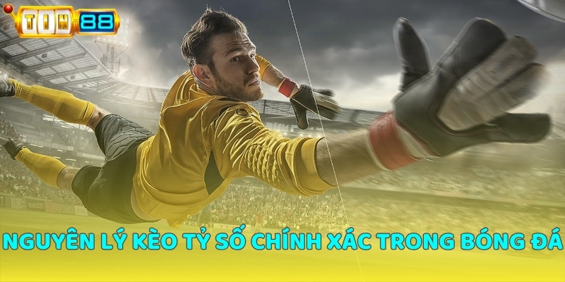 Nguyên lý kèo tỷ số chính xác trong bóng đá