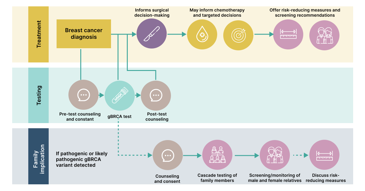 The Pathway from Testing to Decisions
