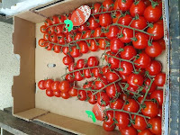 C:\Users\Agustin\Downloads\tomate cherry a 10€.jpg