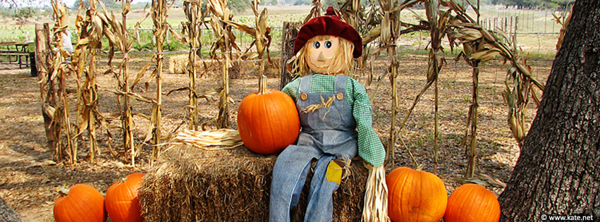 Pleasant seated scarecrow holding a pumpkin by his side