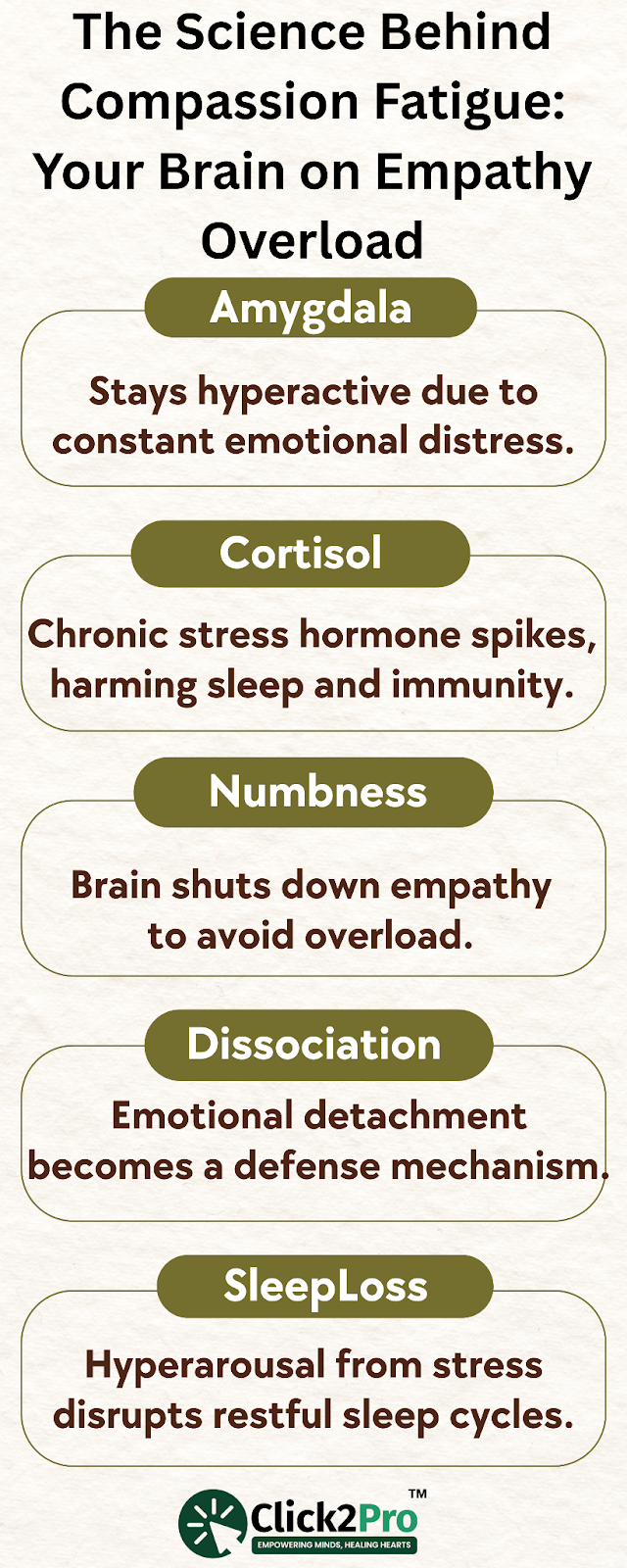 How compassion fatigue affects the brain: amygdala, cortisol, numbness, dissociation, sleep loss