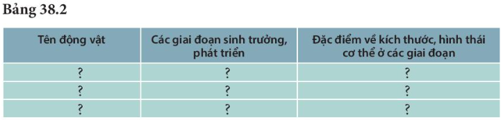 BÀI 38. THỰC HÀNH: QUAN SÁT, MÔ TẢ SỰ SINH TRƯỞNG VÀ PHÁT TRIỂN Ở MỘT SỐ LOÀI SINH VẬT