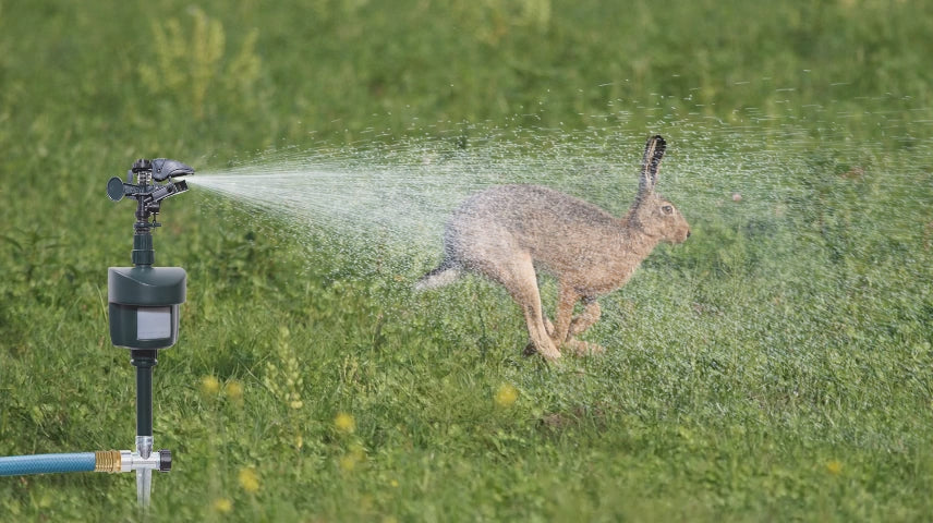 Motion-Activated Sprinklers