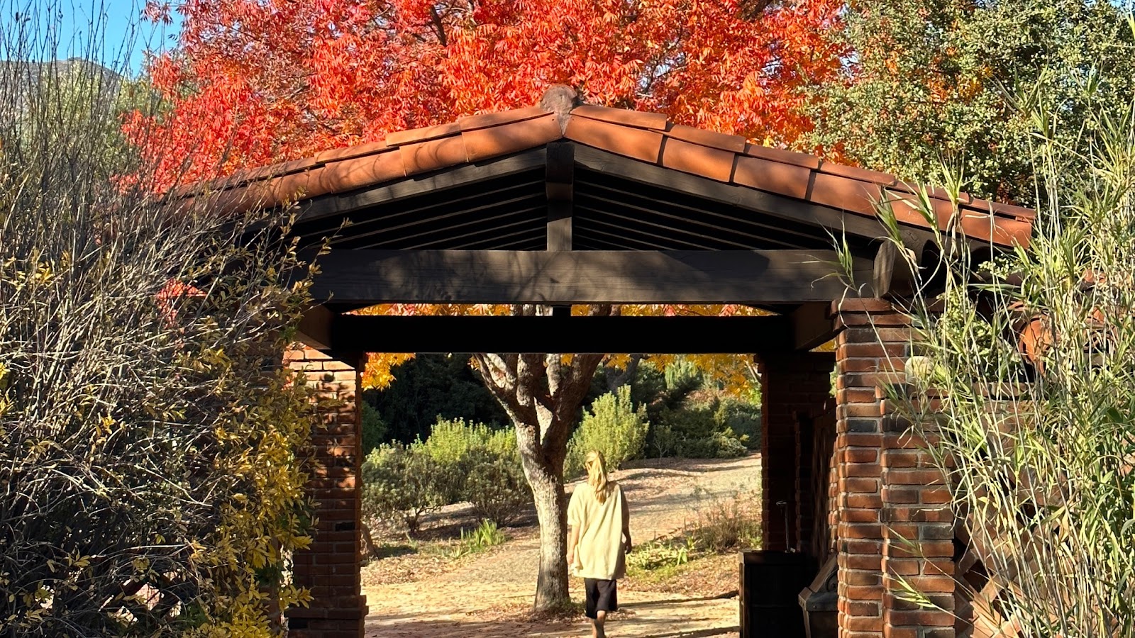 woman walking through a covered pathway with red leaves and green brush