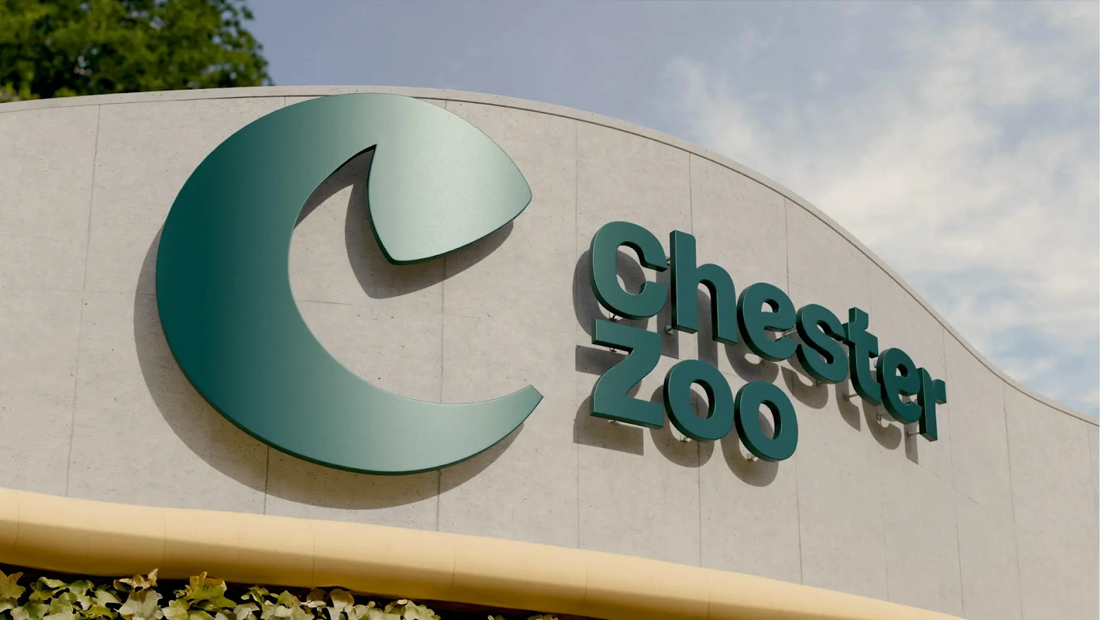 Image from the Chester Zoo's Branding: A Force for Nature article on Abduzeedo