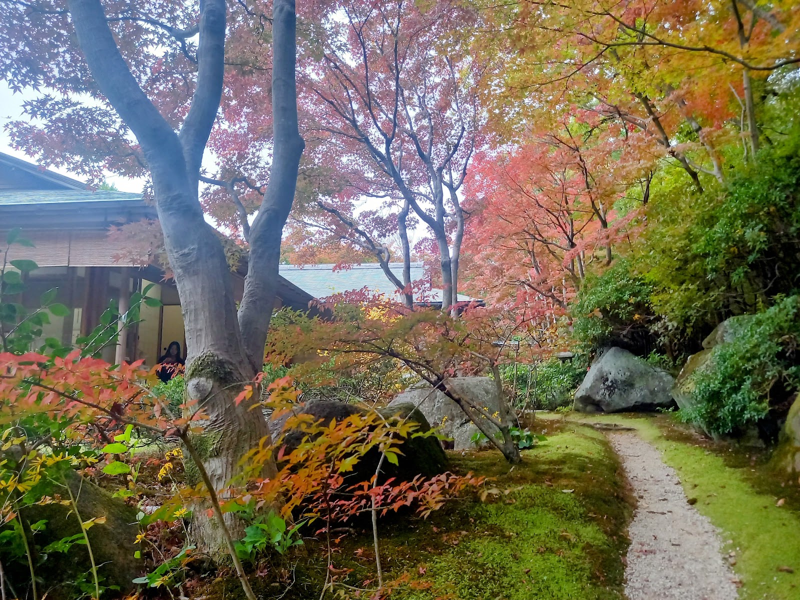 北山山荘内の庭の様子。赤、黄、緑のグラデーションが美しい。
