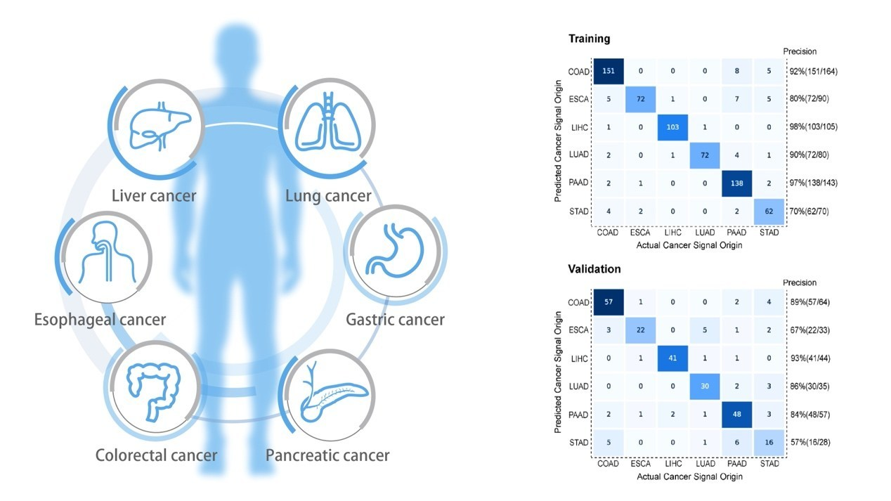 A diagram of a person's body

Description automatically generated