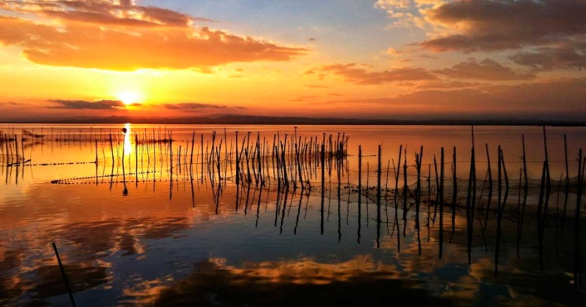 Albufera Natural Park